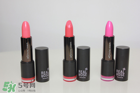 ֲ����԰�ں촽��ɫ�� ֲ����԰�ں촽����ɫ